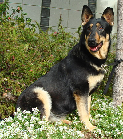 Nelly von thorn sitting